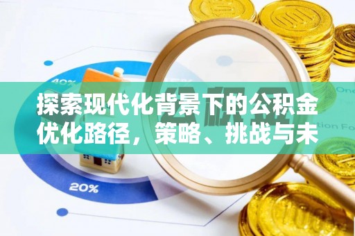 富拉尔基探索现代化背景下的公积金优化路径，策略、挑战与未来展望