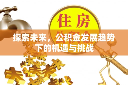 富拉尔基探索未来，公积金发展趋势下的机遇与挑战