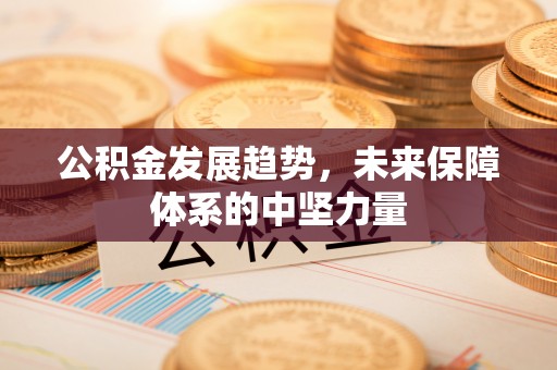 富拉尔基公积金发展趋势，未来保障体系的中坚力量