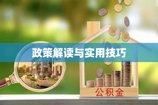 富拉尔基政策解读与实用技巧