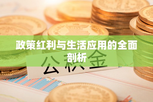 富拉尔基政策红利与生活应用的全面剖析